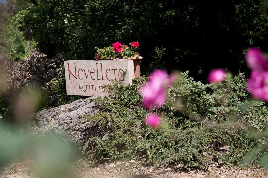 Novelleto Villa Monteriggioni Eksteriør billede