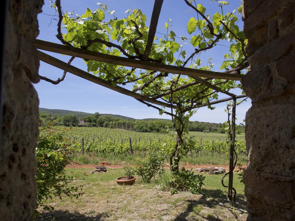 Novelleto Villa Monteriggioni Eksteriør billede