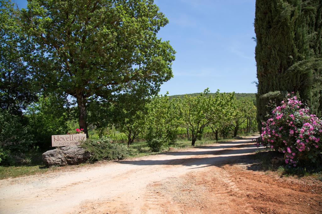 Novelleto Villa Monteriggioni Eksteriør billede